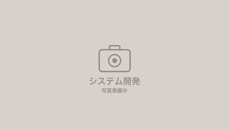 システム開発の写真（準備中）